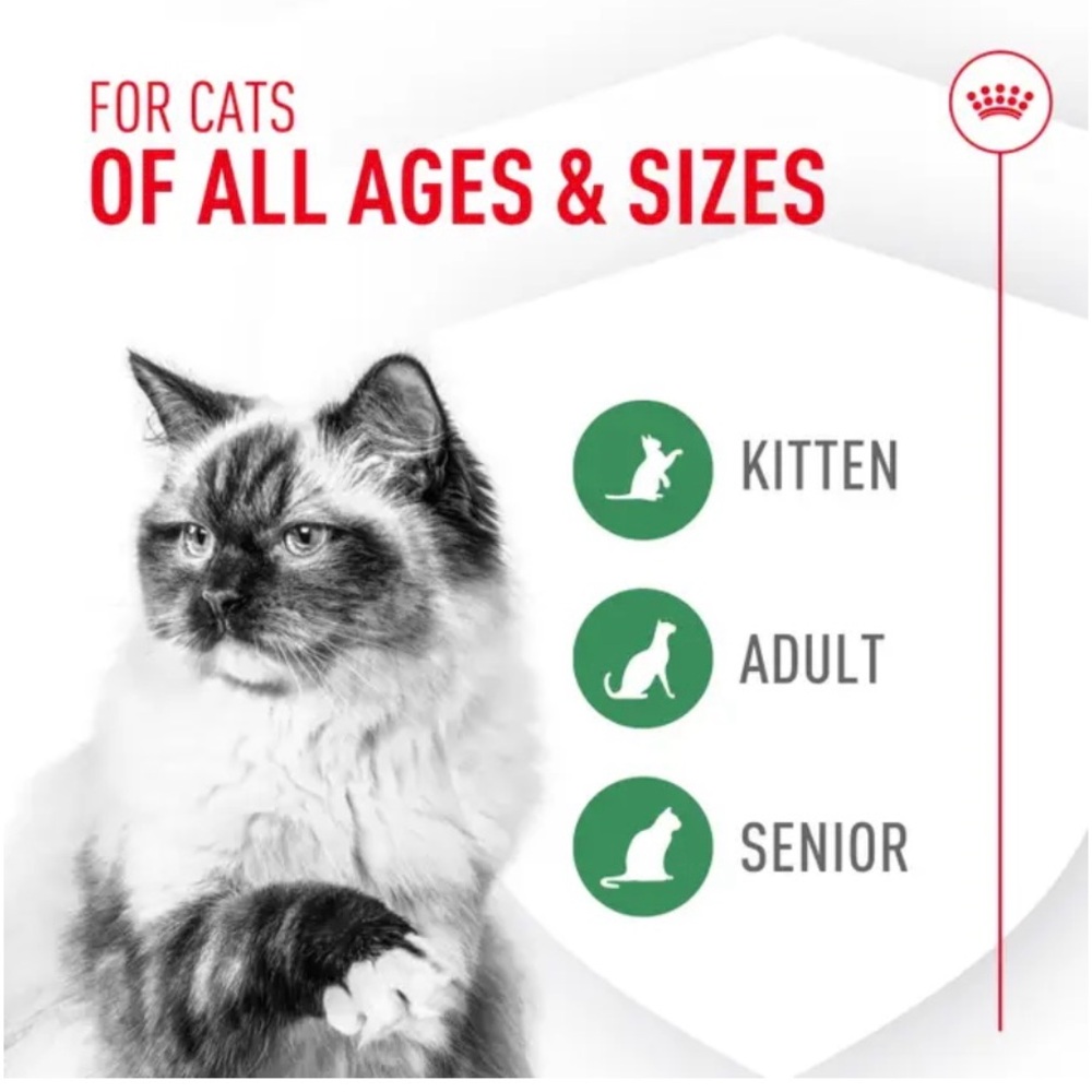 ROYAL CANIN Probiotics for cats - Picture 3 of 8